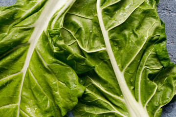 Swiss chard (Beta vulgaris) leaves full frame.