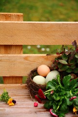 osternest ostereier