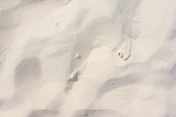 Sand on the beach as background