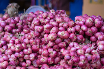 Onions stacked in rows.