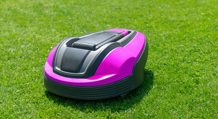 Mähroboter auf Rasen im Garten