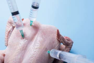 Fresh chicken with stuck syringes for experiments and GMOs on a blue background.