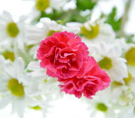 bouquet of carnations and daisies isolated on white background