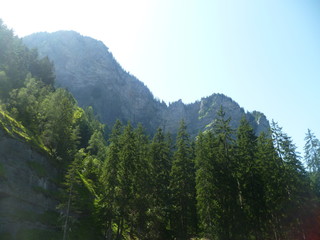 Montagne rocheuse été