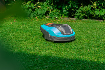 Mähroboter auf Rasen im Garten