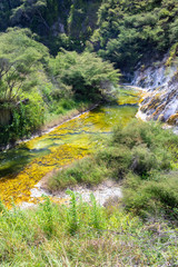 volcanic activities at waimangu 