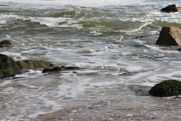 Atlantic littoral in Brittany (France)