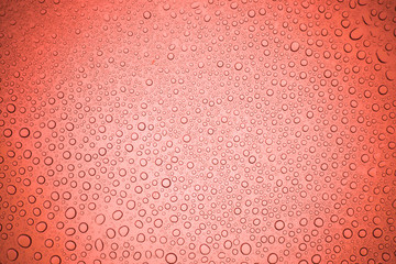 Rain droplets on red glass background, Water drops on glass.