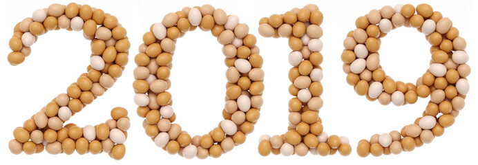 new 2019 year from fresh chicken eggs