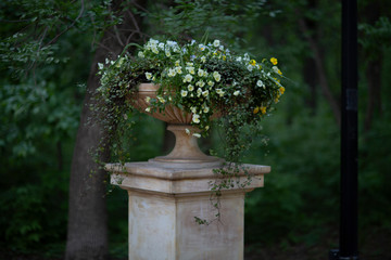 vase with pansies and ivy