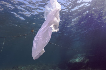 Underwater photograph of torn plastic bag floating in the sea.