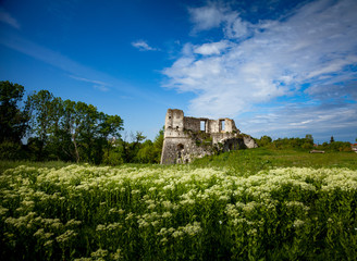 Fototapeta na wymiar Ruins of old fortress