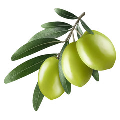 Olive branch with three green olives, isolated on white background