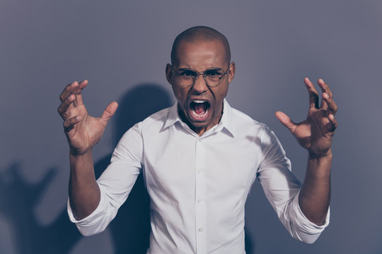 Close up photo amazing dark skin he him his macho roaring wild nature tired not reliable coworkers people hands arms raised air open mouth shaved face wear specs white shirt isolated grey background
