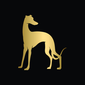 recommend clip art: Creative and Minimalist Running and Jumping Whippet Dog Logo Design , Editable in Vector Format in Black and Gold Color