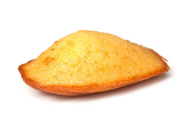 closeup of madeleine cake on white background