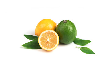 Lemon and  lime on the white background