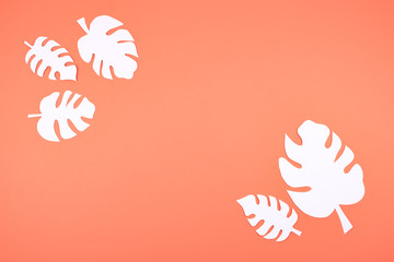 Fototapeta premium White paper Monstera leaves on coral orange background with copy space. Summer tropical exotic palm plant frame flat lay, top view