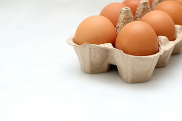 Eggs in container on white background