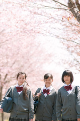 桜の前で微笑む中学生