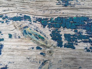 The texture of an old blue wooden wall. Vintage background