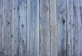Wooden background in white and gray. Wood surface in vintage tone. Smooth light natural wood texture