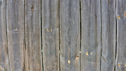 Wooden background in white and gray. Wood surface in vintage tone. Smooth light natural wood texture