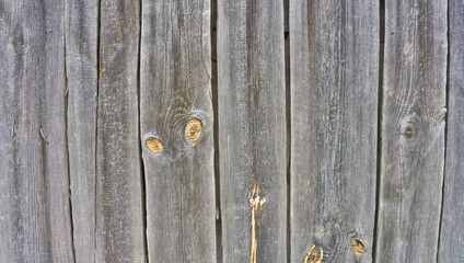 Wooden background in white and gray. Wood surface in vintage tone. Smooth light natural wood texture