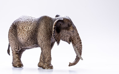 Side profile view of a model Elephant isolated on a white background