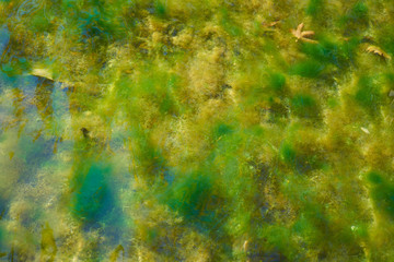 Abstract Water Background