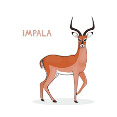 Vector illustration, a cartoon impala with long horns, isolated on a white background. Animal alphabet.