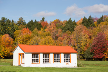 Fototapeta na wymiar Small white and orange chicken coop against brilliantly coloured trees and blue sky in Portneuf County, Quebec, Canada