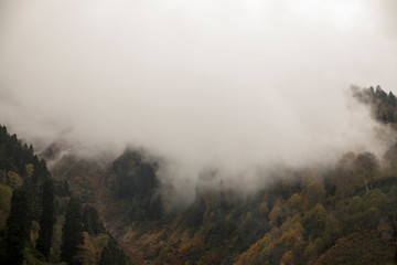 Mountain Landscape