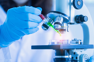 Fototapeta premium Scientist dropping liquid to petri dish..