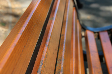 In a public park in Nantes (France)