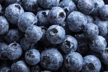  Ripe and juicy fresh picked blueberries closeup.