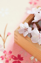 桜と升