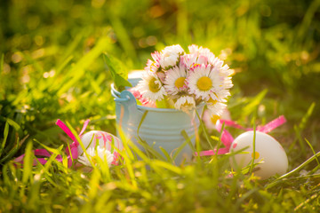 Easter eggs and daisies in the grass
