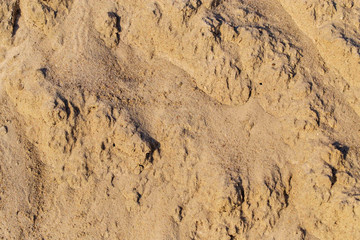Construction sand as an abstract background