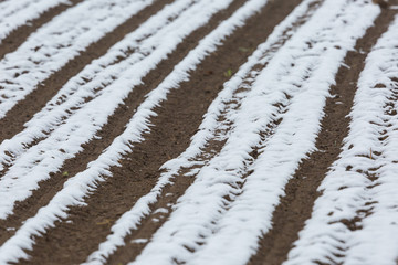 freshly furrowed acre field partly covered with snow