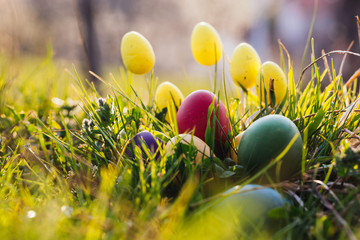Colorful Easter eggs in the nature.