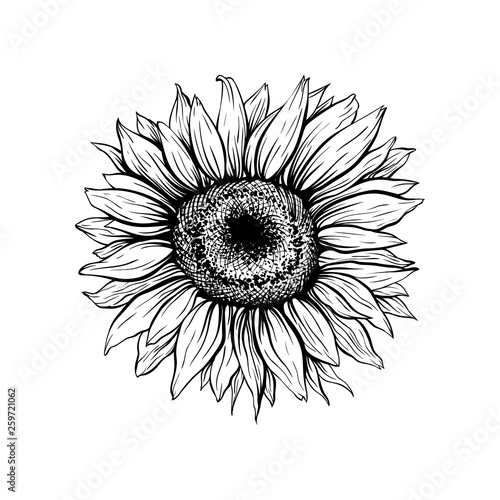 Free Free 80 Sunflower Svg Free Black And White SVG PNG EPS DXF File