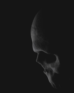 Realistic silhouette skull isolated on black background. Digital 3d illustration.