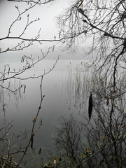 Ausblick