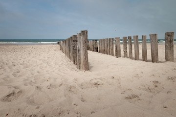 Naklejka na ściany i meble Beach poles wave breaker in Domburg, the Netherlands