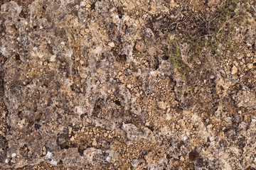 Texture of stones