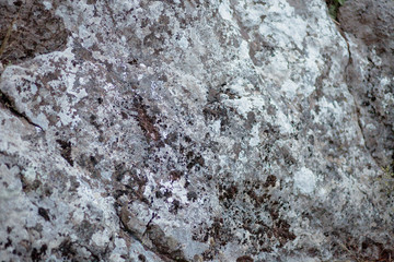 Old mossy stone