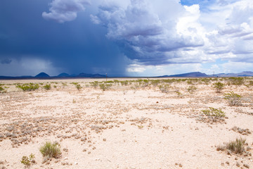 Scenic desert in summer monsoon, Texas, USA