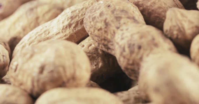 Peanuts in the shell roasted