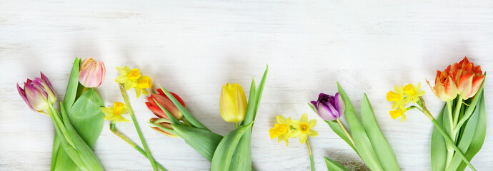 Ostern, Frühling, Tulpen, Narzissen, Osterglocken, Banner, Header, Headline, Panorama, Textraum,...